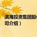 滨海投资集团股份有限公司（关于滨海投资集团股份有限公司介绍）