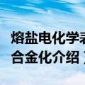 熔盐电化学表面合金化（关于熔盐电化学表面合金化介绍）