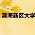 滨海新区大学城（关于滨海新区大学城介绍）