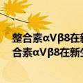 整合素αVβ8在新生鼠局灶性脑缺血修复中的作用（关于整合素αVβ8在新生鼠局灶性脑缺血修复中的作用简介）