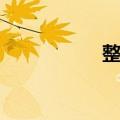 整理（关于整理简介）