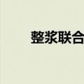 整浆联合机（关于整浆联合机简介）
