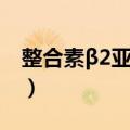 整合素β2亚单位（关于整合素β2亚单位简介）