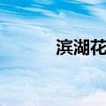滨湖花园（关于滨湖花园介绍）