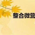 整合微营销（关于整合微营销简介）