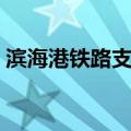 滨海港铁路支线（关于滨海港铁路支线介绍）