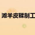 滩羊皮鞣制工艺（关于滩羊皮鞣制工艺介绍）