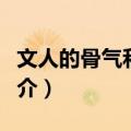 文人的骨气和底气（关于文人的骨气和底气简介）