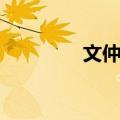 文仲容（关于文仲容简介）