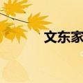 文东家族（关于文东家族简介）