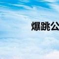 爆跳公主（关于爆跳公主介绍）