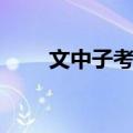 文中子考论（关于文中子考论简介）