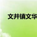 文井镇文华村（关于文井镇文华村简介）