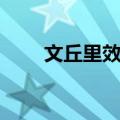 文丘里效应（关于文丘里效应简介）