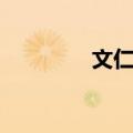 文仁国（关于文仁国简介）