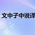 文中子中说译注（关于文中子中说译注简介）
