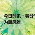 今日时讯：春分节气里感受勃勃生机 春日出游别让不文明行为煞风景