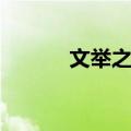 文举之对（关于文举之对简介）