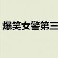爆笑女警第三季（关于爆笑女警第三季介绍）