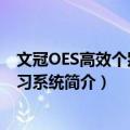 文冠OES高效个别化学习系统（关于文冠OES高效个别化学习系统简介）