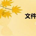 文件袋（关于文件袋简介）