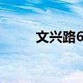 文兴路6号（关于文兴路6号简介）