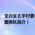 文兴乡太平村委会志愿服务队（关于文兴乡太平村委会志愿服务队简介）