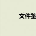 文件鉴定（关于文件鉴定简介）