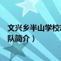 文兴乡半山学校志愿服务队（关于文兴乡半山学校志愿服务队简介）