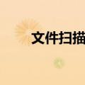 文件扫描仪（关于文件扫描仪简介）