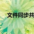 文件同步共享（关于文件同步共享简介）