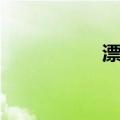 漂沦（关于漂沦介绍）