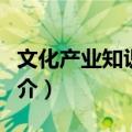 文化产业知识读本（关于文化产业知识读本简介）