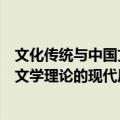 文化传统与中国文学理论的现代历程（关于文化传统与中国文学理论的现代历程简介）