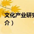 文化产业研究(10)（关于文化产业研究(10)简介）