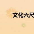文化六尺巷（关于文化六尺巷简介）