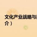 文化产业战略与商业模式（关于文化产业战略与商业模式简介）
