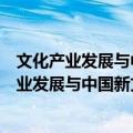 文化产业发展与中国新文化变革(1998-2008)（关于文化产业发展与中国新文化变革(1998-2008)简介）