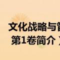 文化战略与管理 第1卷（关于文化战略与管理 第1卷简介）