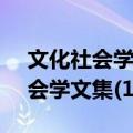 文化社会学文集(1986-2014)（关于文化社会学文集(1986-2014)简介）