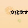 文化学大义（关于文化学大义简介）