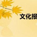 文化报道（关于文化报道简介）
