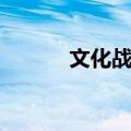 文化战争（关于文化战争简介）
