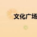 文化广场站（关于文化广场站简介）
