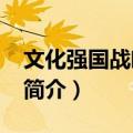 文化强国战略30问（关于文化强国战略30问简介）