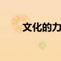 文化的力量（关于文化的力量简介）