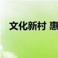 文化新村 惠南（关于文化新村 惠南简介）