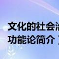 文化的社会治理功能论（关于文化的社会治理功能论简介）