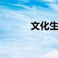 文化生活（关于文化生活简介）
