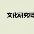 文化研究概论（关于文化研究概论简介）